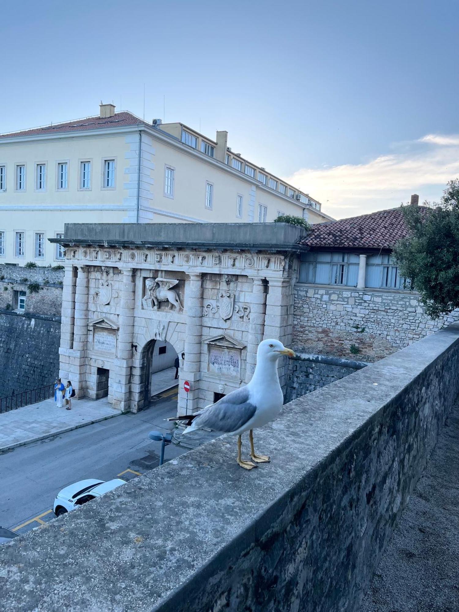 Apartmán Luxury Majpruz *